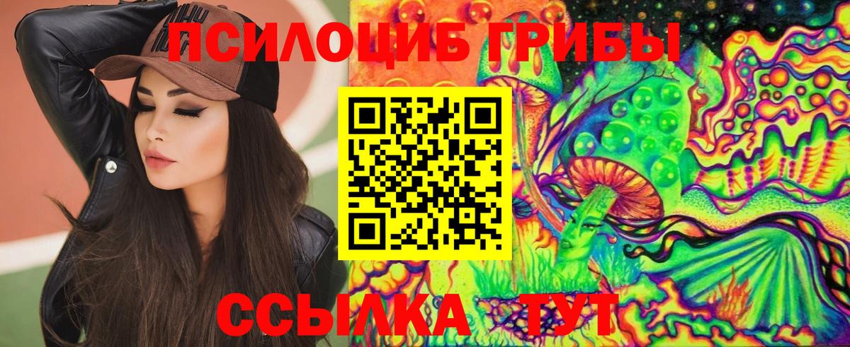 Галлюциногенные грибы прущие грибы Ростов Великий