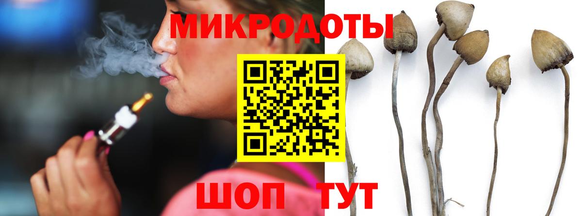 Ростов Великий  Псилоцибиновые грибы Psilocybine cubensis  Вход с VPN 
